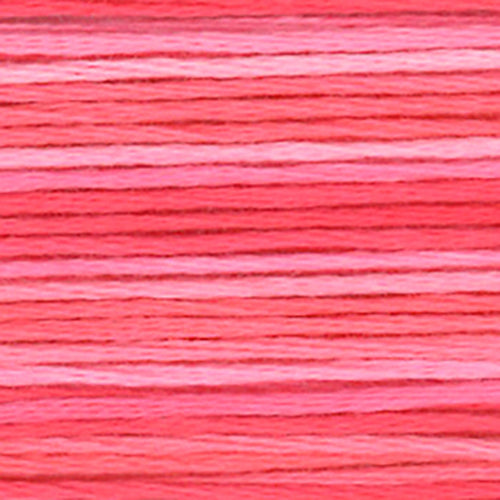 Cosmos Seasons Embroidery Floss -