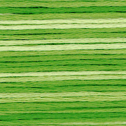 Cosmos Seasons Embroidery Floss -