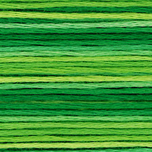 Cosmos Seasons Embroidery Floss -