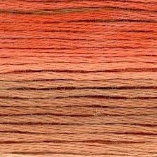Cosmos Seasons Embroidery Floss -