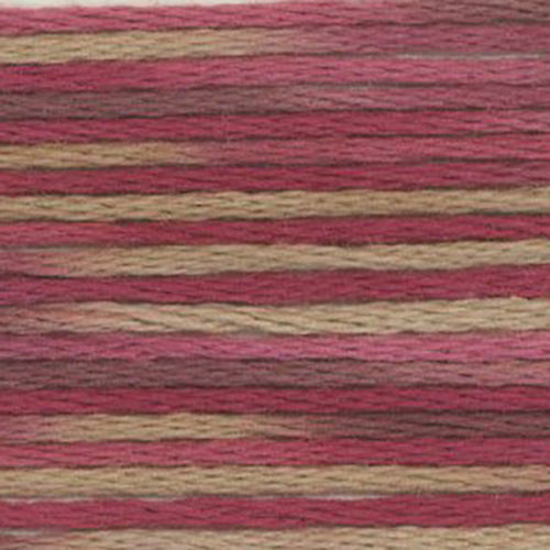 Cosmos Seasons Embroidery Floss -