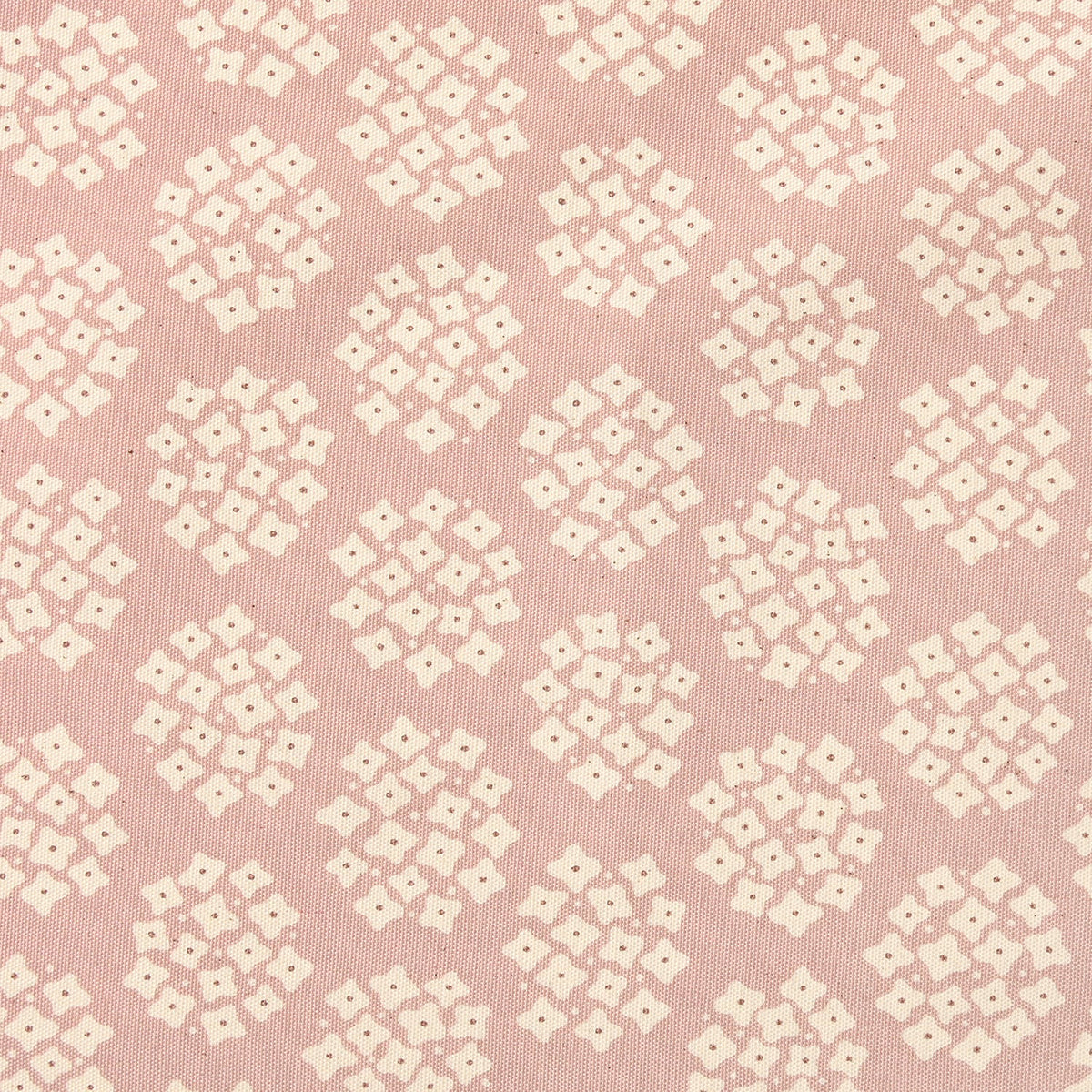 Teiban Hydrangea - Oxford - Pink