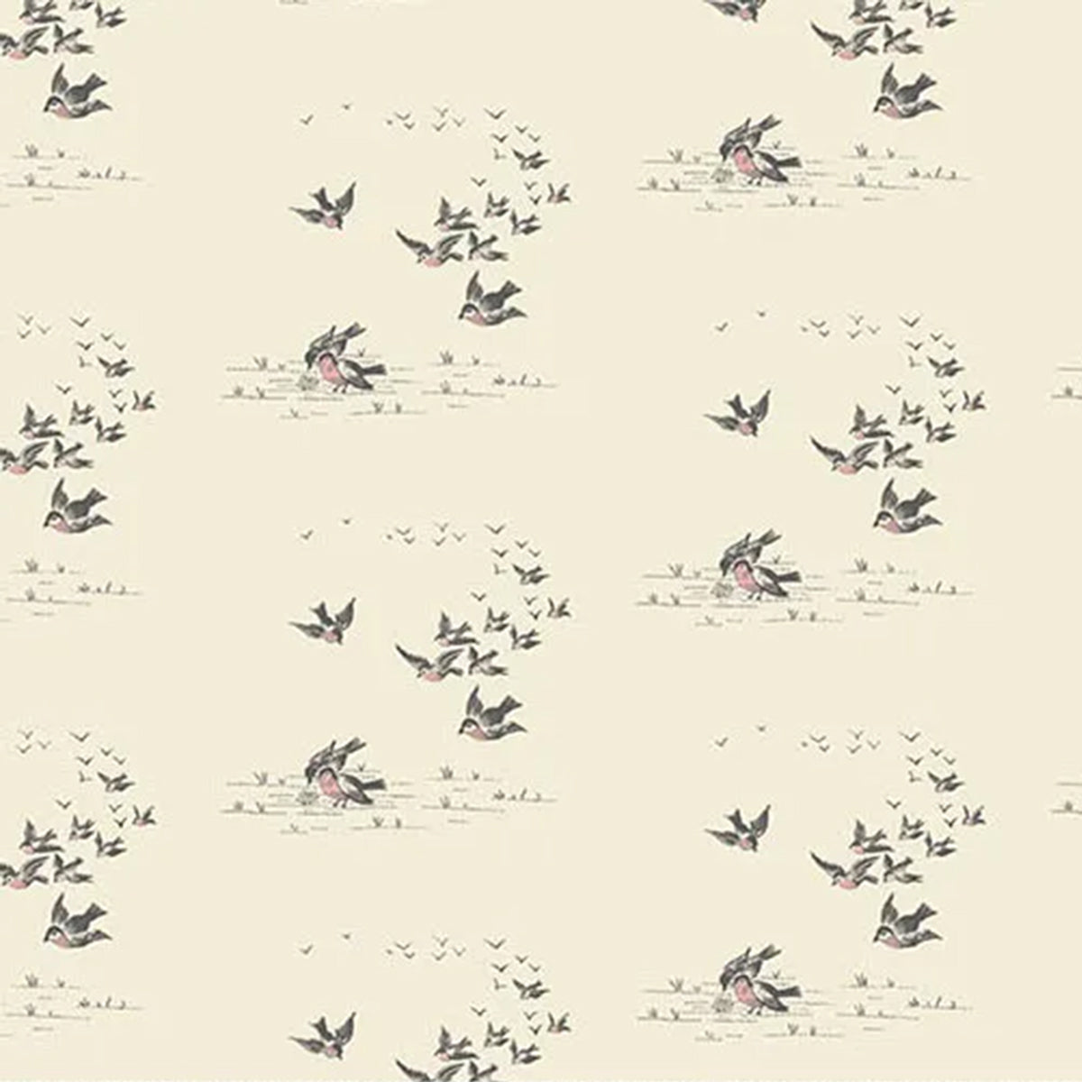 Ayla - Flying Birds - Grain