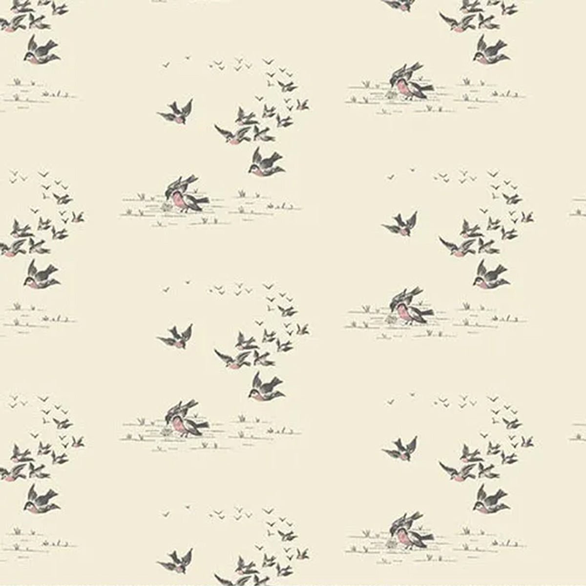 Ayla - Flying Birds - Grain - Amy Kallissa