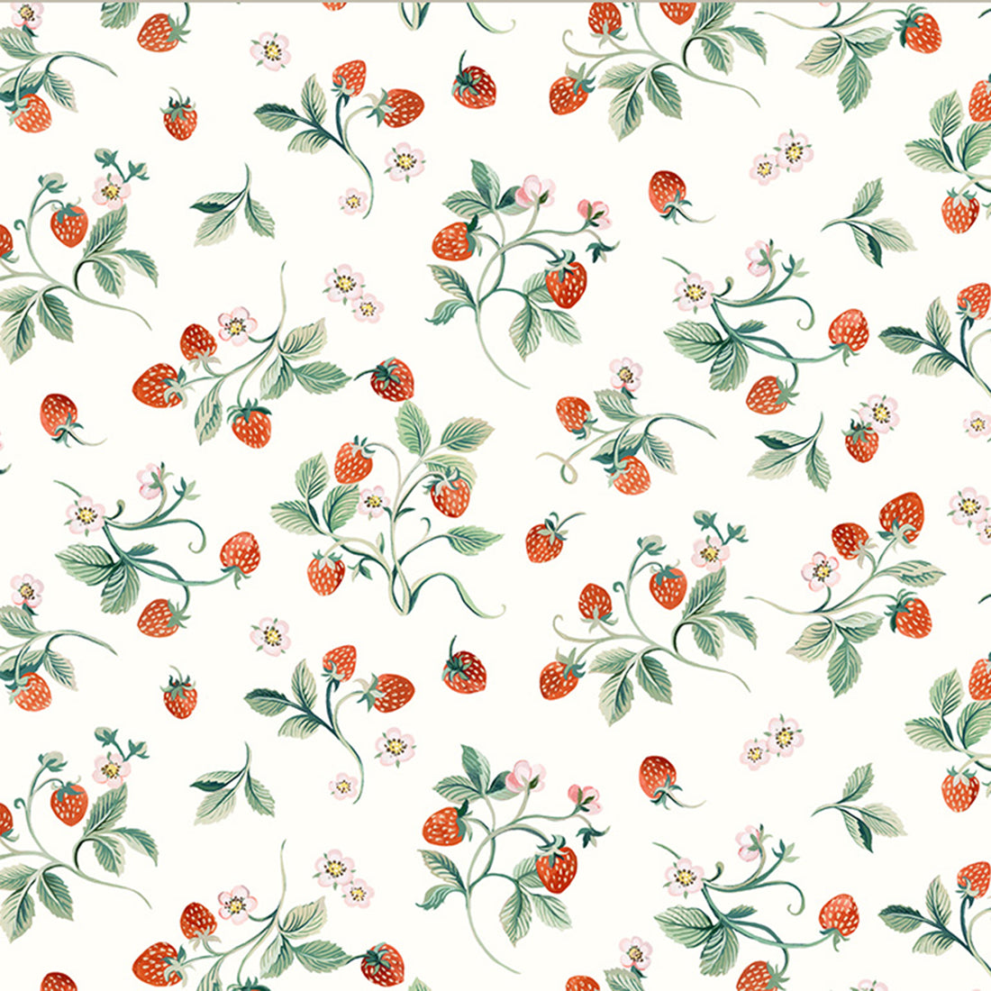 Robin - Strawberries - Ivory