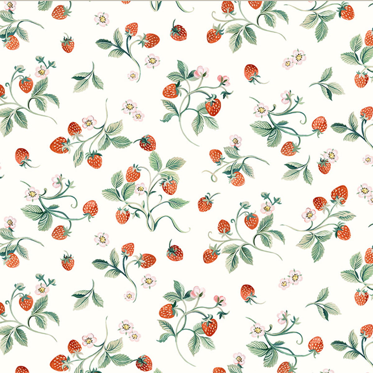 Robin - Strawberries - Ivory