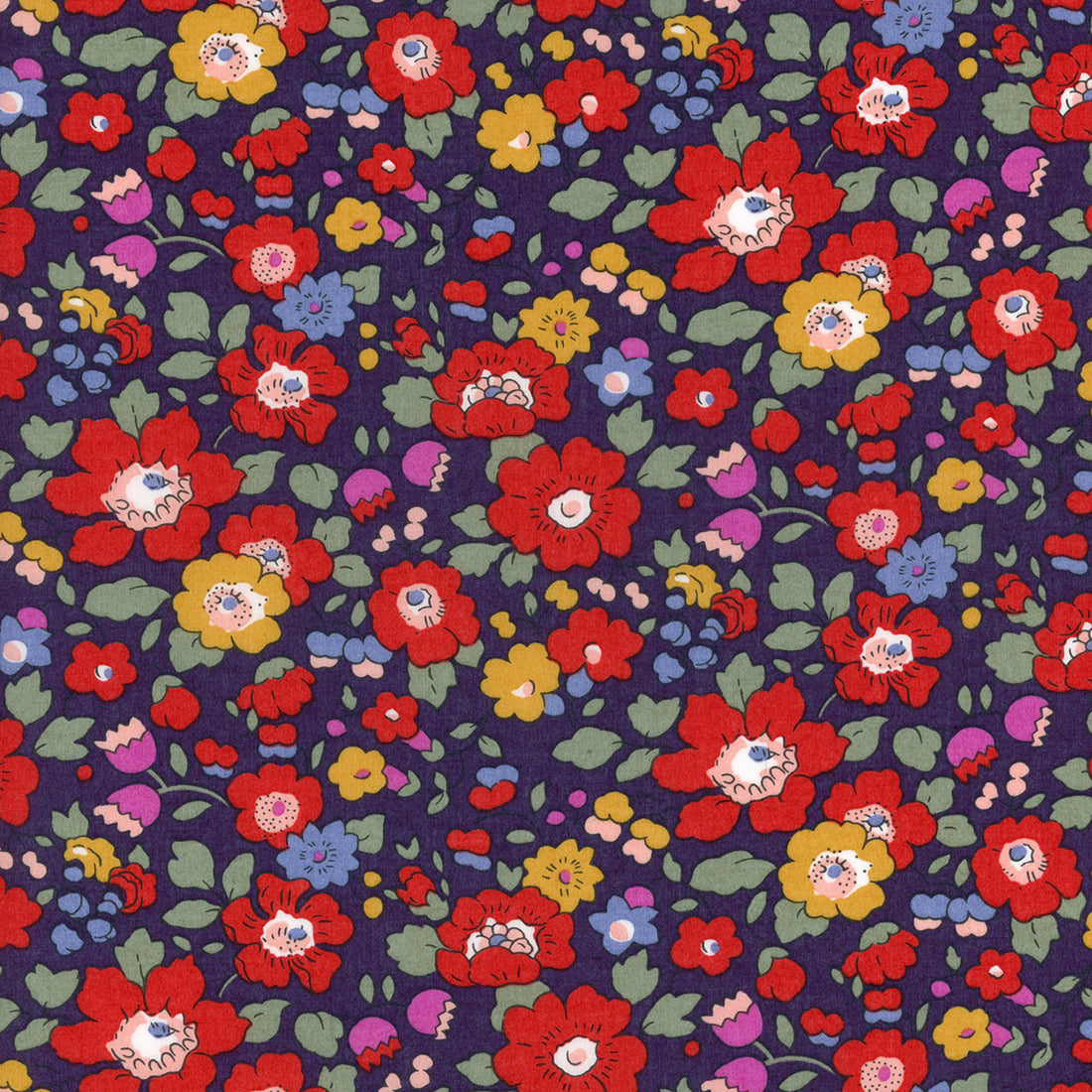 Betsy Meadow C