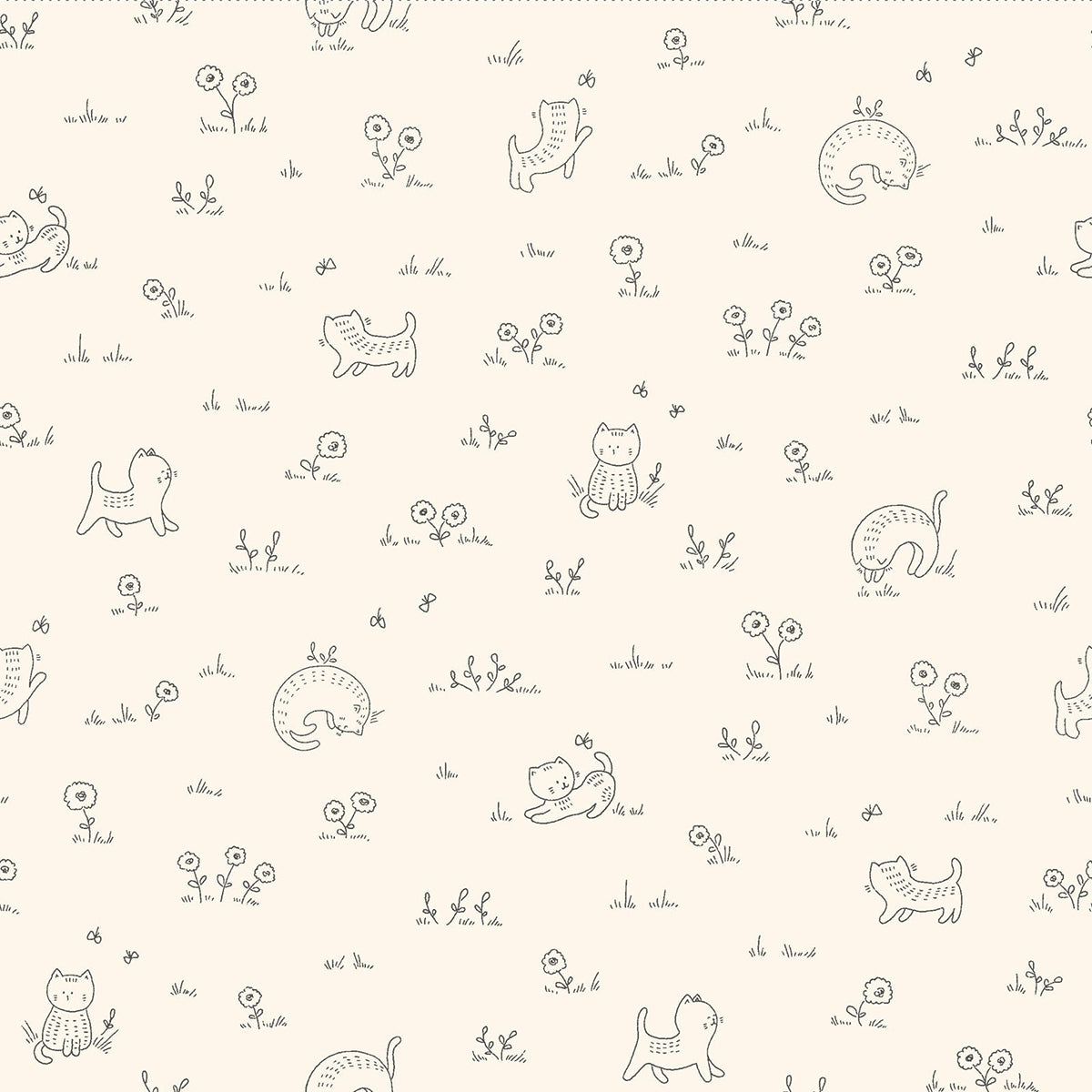 Kitten Fun - Playful - Tonal Cream