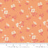 Cannon Beach - Peach - Amy Kallissa