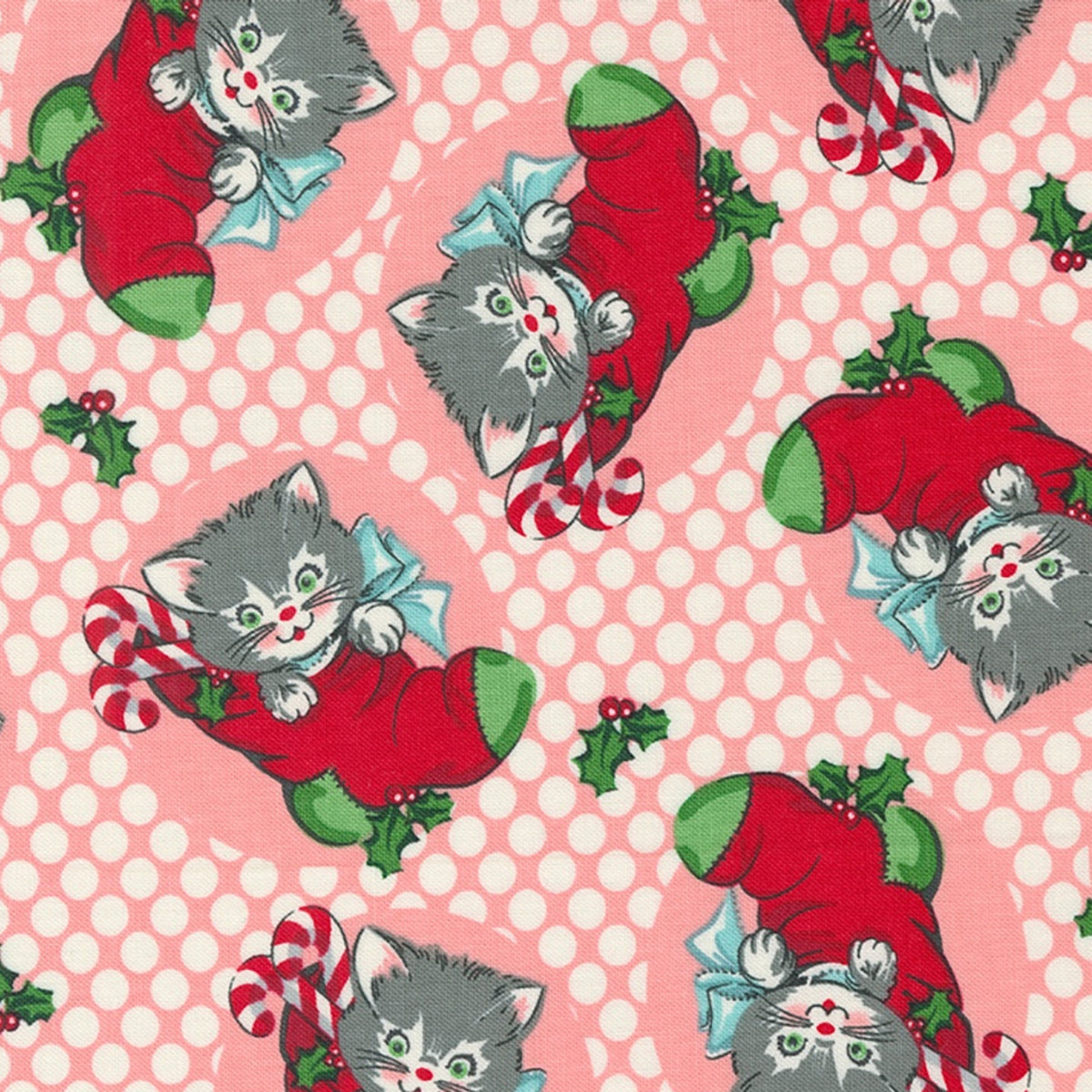 Kitty Christmas - Christmas Kittens - Cheeky