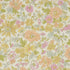 Daisy Morisia B