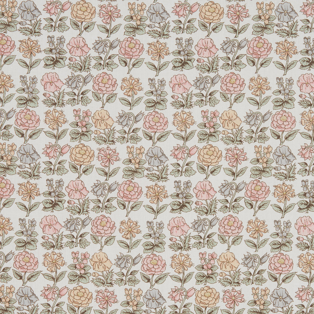 Davalia Flowers A