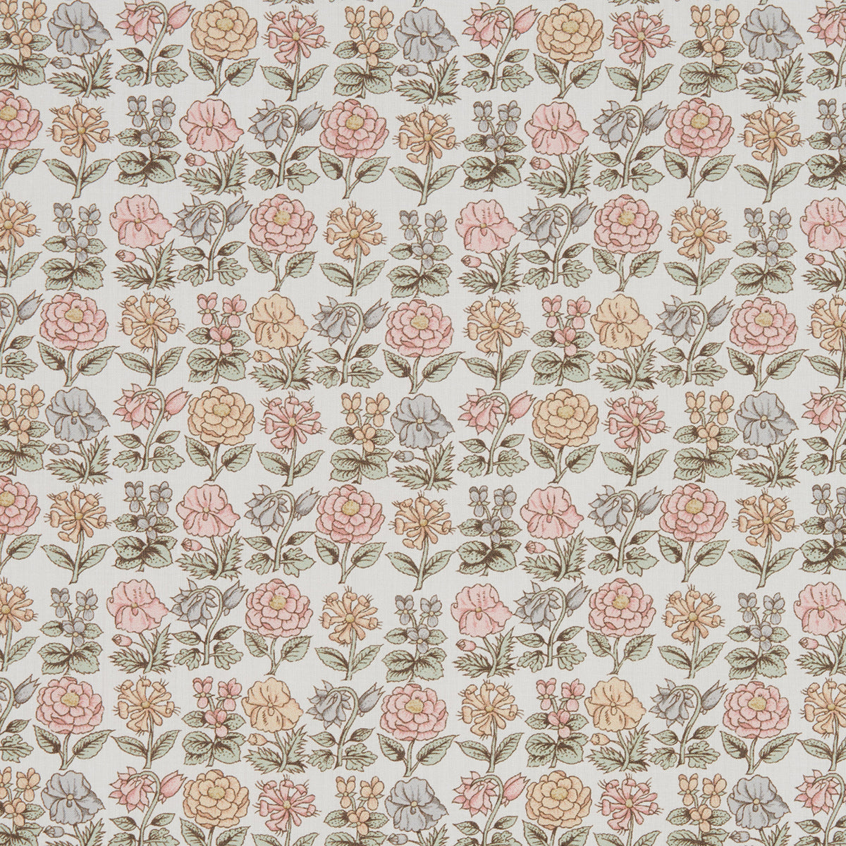 Davalia Flowers A