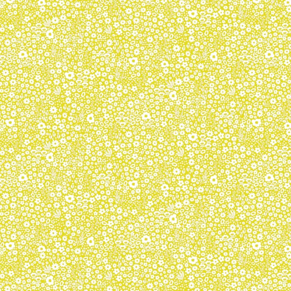 Ditsy Daisy - Yellow - Amy Kallissa