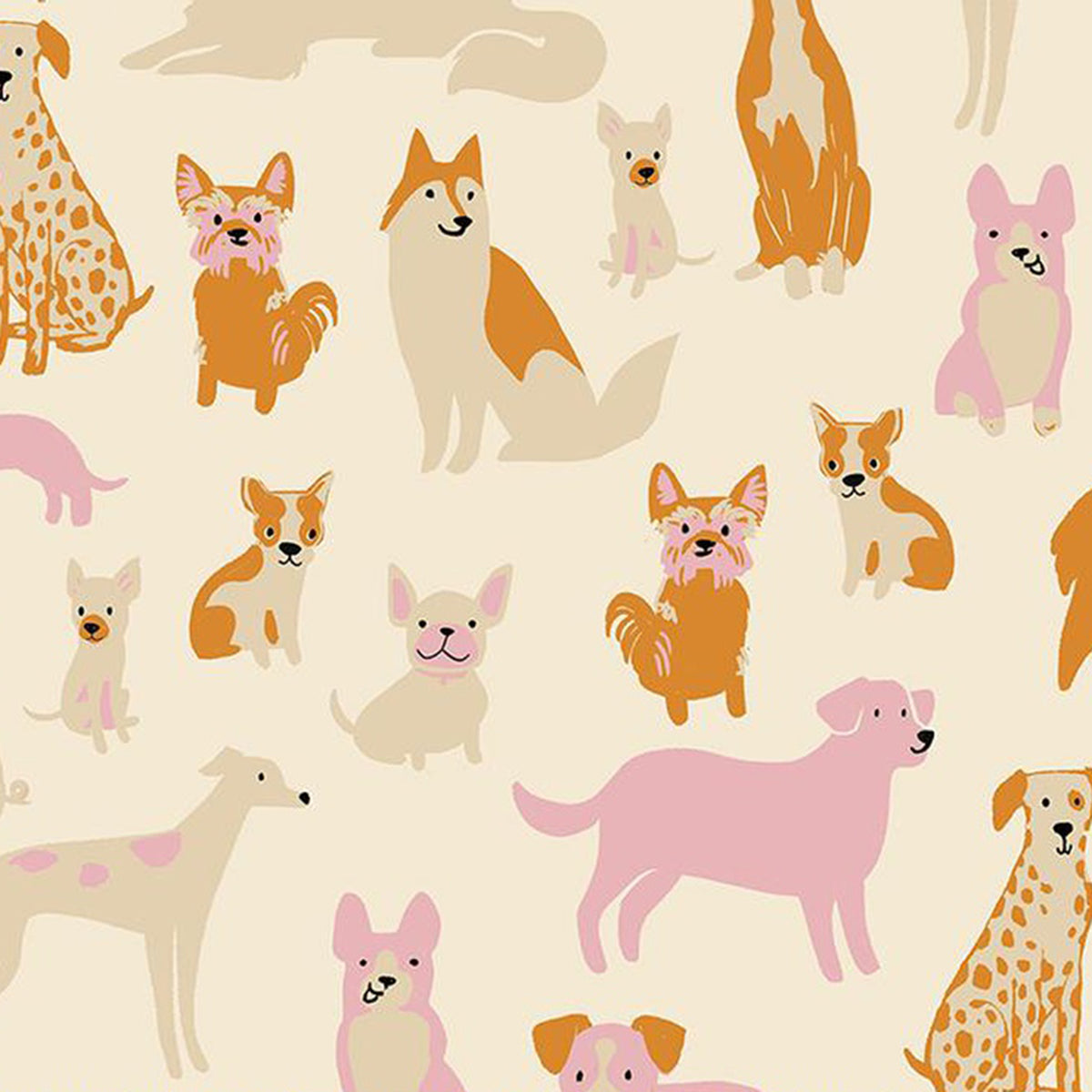 Dog Park - Dog Medley - Shell