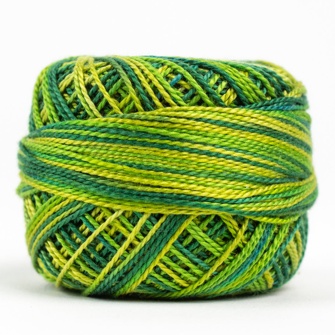 EZM2207 - Turtle