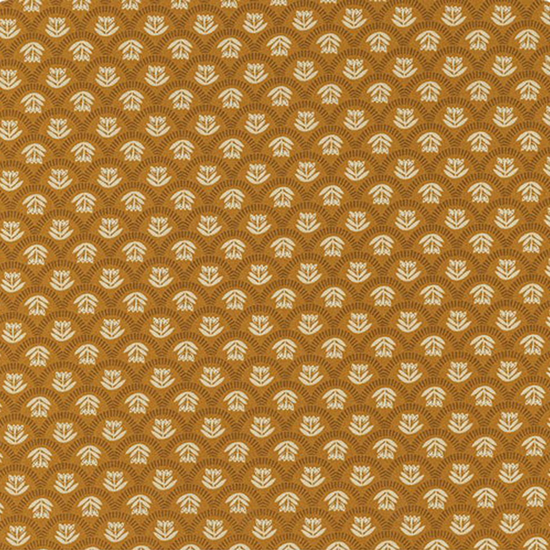 Folk &amp; Lore - Scallop Story - Caramel