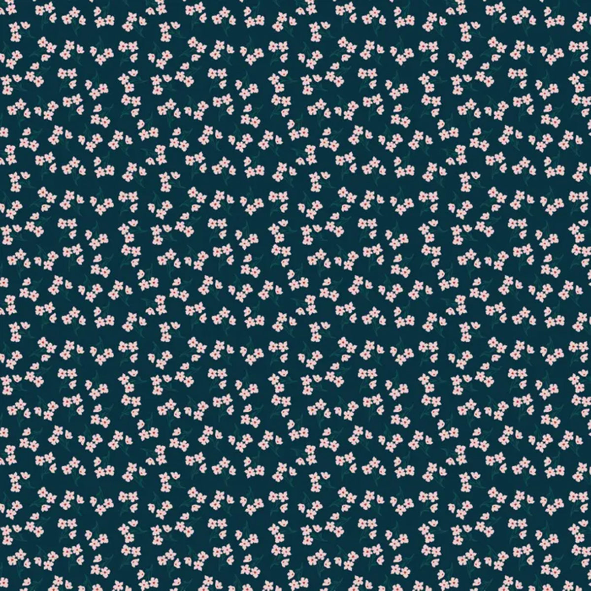 For Laura (DV5689)