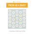 Fresh As A Daisy Quilt Pattern