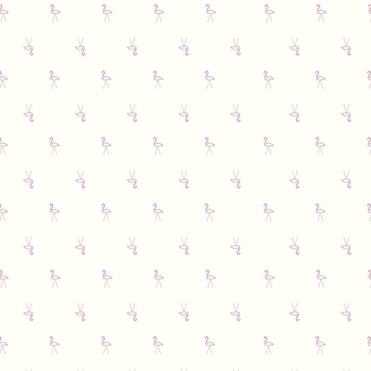 Hush Hush - Pink Lady - White