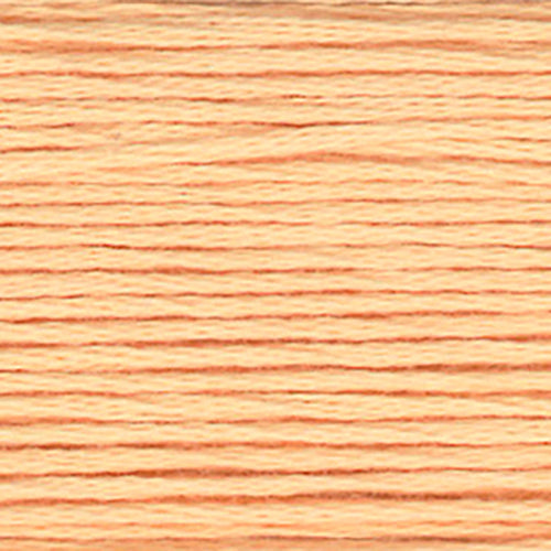 Cosmo Embroidery Floss 
