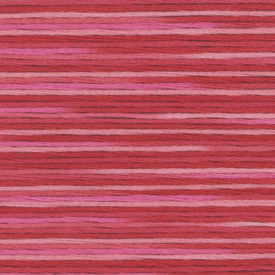 Cosmo Seasons Embroidery Thread - 
