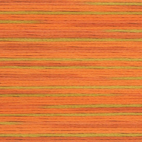 Cosmo Seasons Embroidery Thread - 