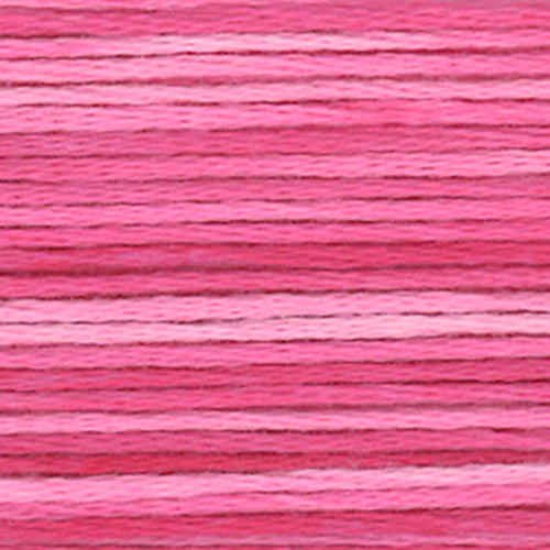 Cosmos Seasons Embroidery Floss - 