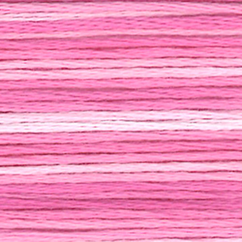 Cosmos Seasons Embroidery Floss - 