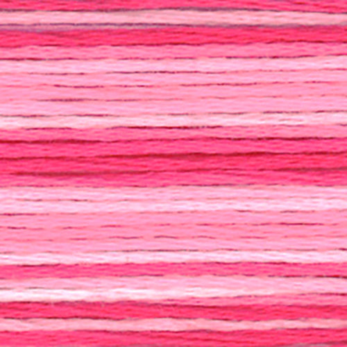 Cosmos Seasons Embroidery Floss - 