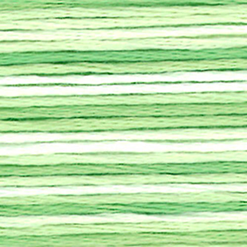 Cosmos Seasons Embroidery Floss - 
