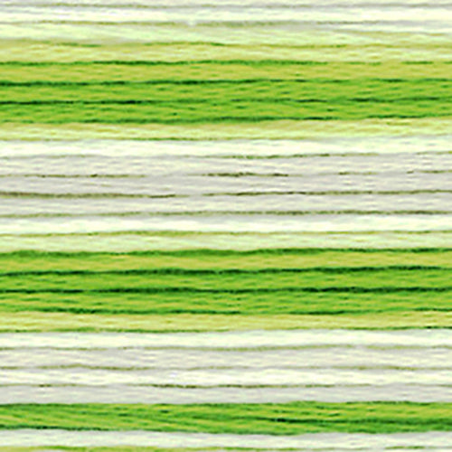 Cosmos Seasons Embroidery Floss - 