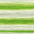 Cosmos Seasons Embroidery Floss - 
