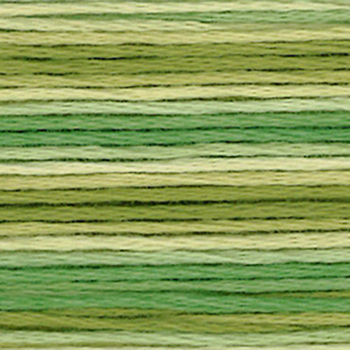 Cosmos Seasons Embroidery Floss - 