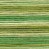 Cosmos Seasons Embroidery Floss - 