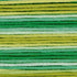 Cosmos Seasons Embroidery Floss - 