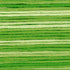 Cosmos Seasons Embroidery Floss - 