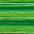 Cosmos Seasons Embroidery Floss - 