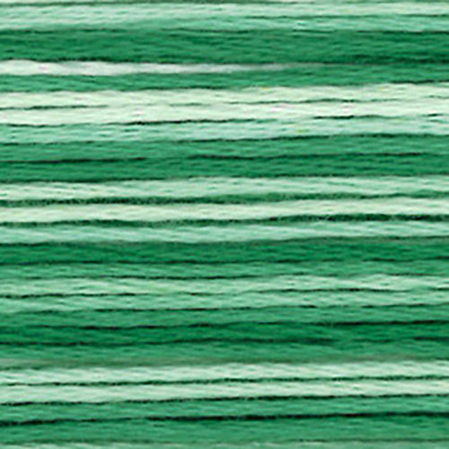 Cosmos Seasons Embroidery Floss - 