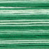 Cosmos Seasons Embroidery Floss - 