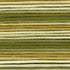 Cosmos Seasons Embroidery Floss - 
