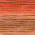 Cosmos Seasons Embroidery Floss - 