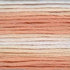 Cosmos Seasons Embroidery Floss - 