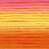 Cosmos Seasons Embroidery Floss - 