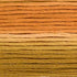 Cosmos Seasons Embroidery Floss - 