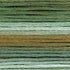 Cosmos Seasons Embroidery Floss - 