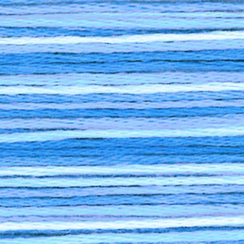 Cosmos Seasons Embroidery Floss - 