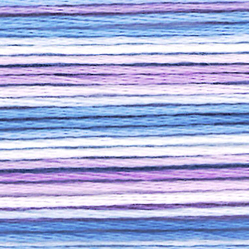 Cosmos Seasons Embroidery Floss - 