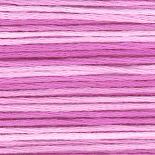 Cosmos Seasons Embroidery Floss - 