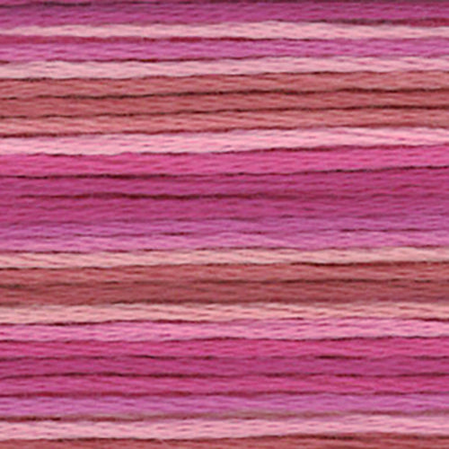 Cosmos Seasons Embroidery Floss - 